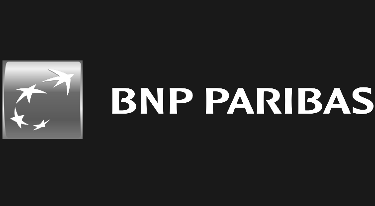 Bnp logo